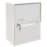 BUZON PAQUETERIA BIGPACK BLANCO EP2001