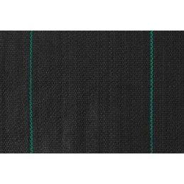 MINIROLLO ANTIHIERBA G100 2,10X10 NEGRO