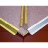 PLETINA ADHESIVA LATON 40X16X1.00 21090B