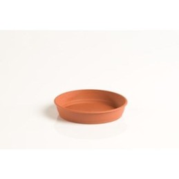 PLATO GARDENIA 10CM PARA MACETA 14CM
