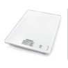 BASCULA COCINA DIGITAL PAGE COMPACT 300 61501
