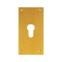 PLACA LATONADO PERA 60X120 MATE 300/13