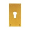 PLACA LATONADO PERA 60X120 MATE 300/13