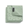 SET 2 PAÑOS DE COCINA MICROFIBRA 30X30CM VERDE