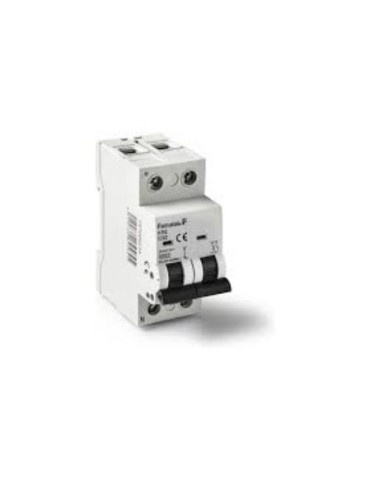 MAGNETOTERMICO1P+N 40 AMPERIOS 257000054