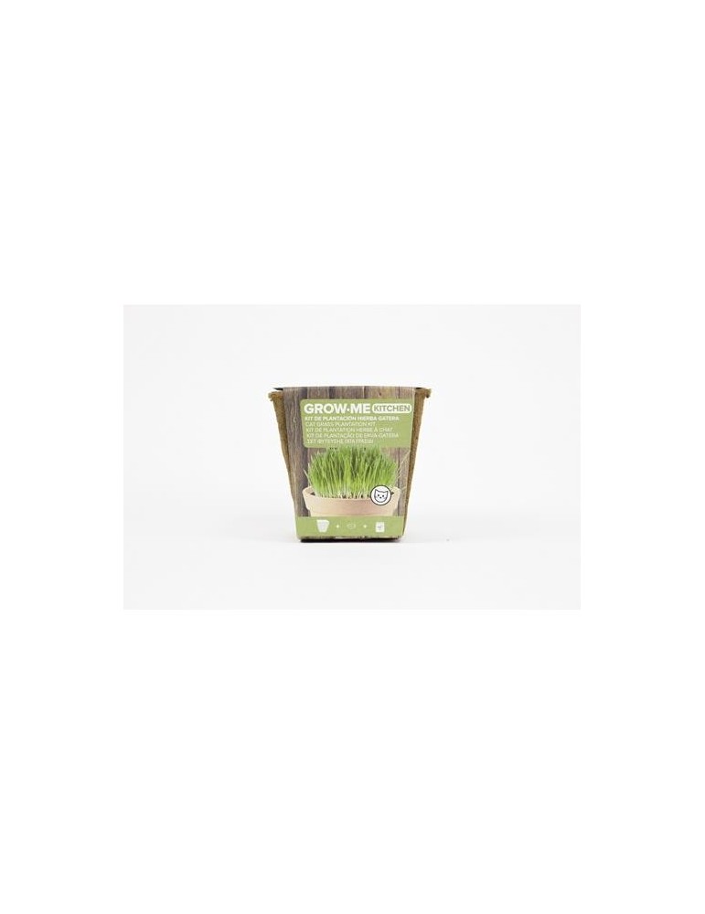 KIT SIEMBRA GROW ME HIERBA GATOS 10GR