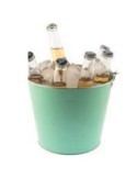 CUBITERA METALIZADA CON ASA VERDE 5L KOALA
