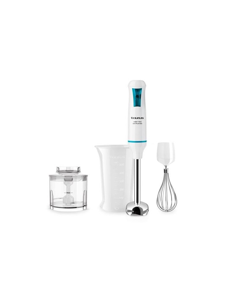 BATIDORA  VARILLA ROBOT 750 EASY PLUS INOX