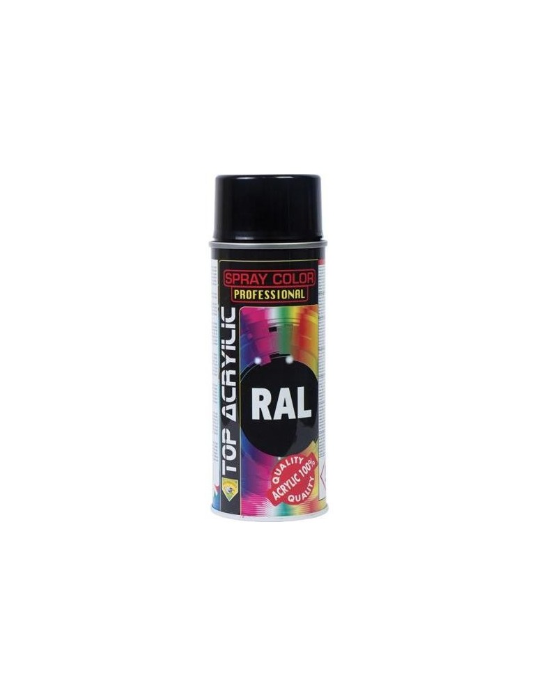 PINTURA SPRAY RAL 9005 NGO.BRILLO 400 ML.90010/001