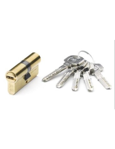 CILINDRO SEGURIDAD 30X30 WG LATON  YL6 60 YL63030