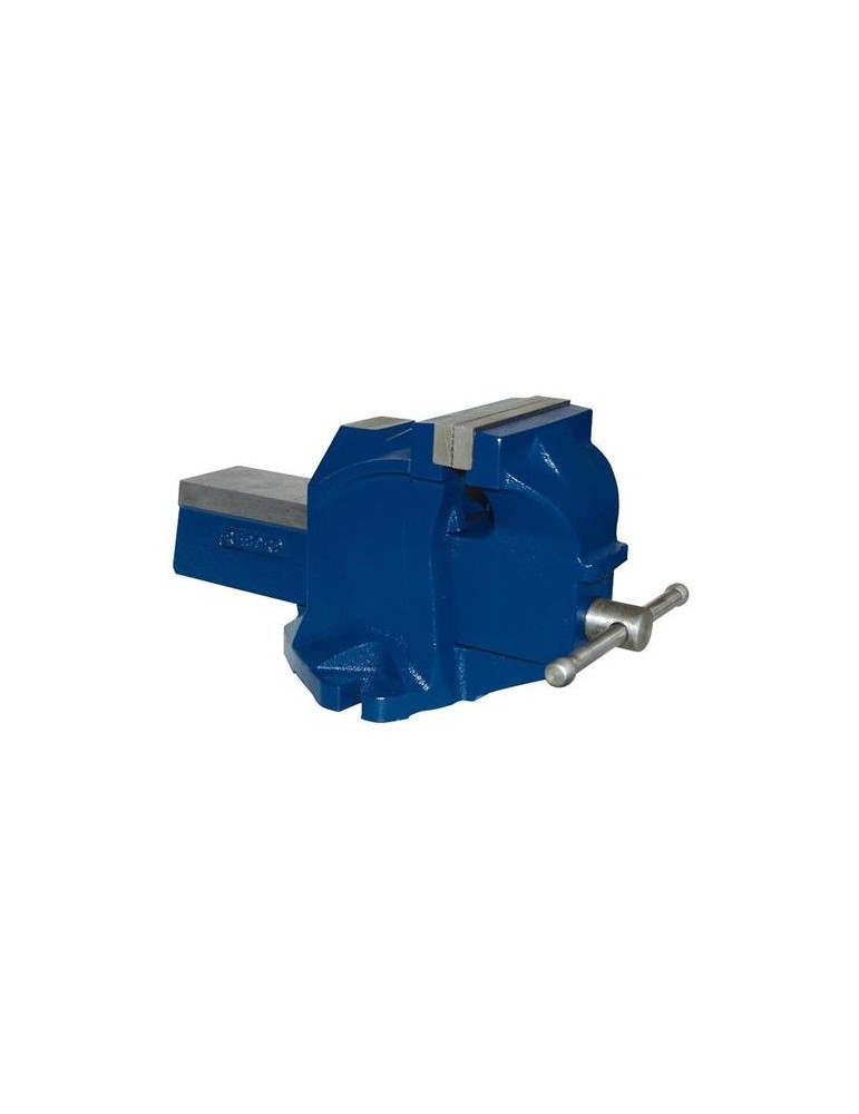 TORNILLO BANCO 100 MM.  RECORD TON-E-B