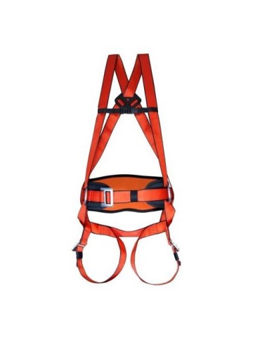 ARNES MAXIPRO