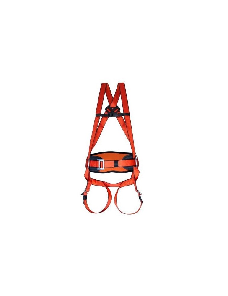 ARNES MAXIPRO