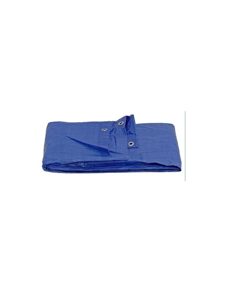 TOLDO PO. REFORZADO 120 GR. 5X8 M. 471095000
