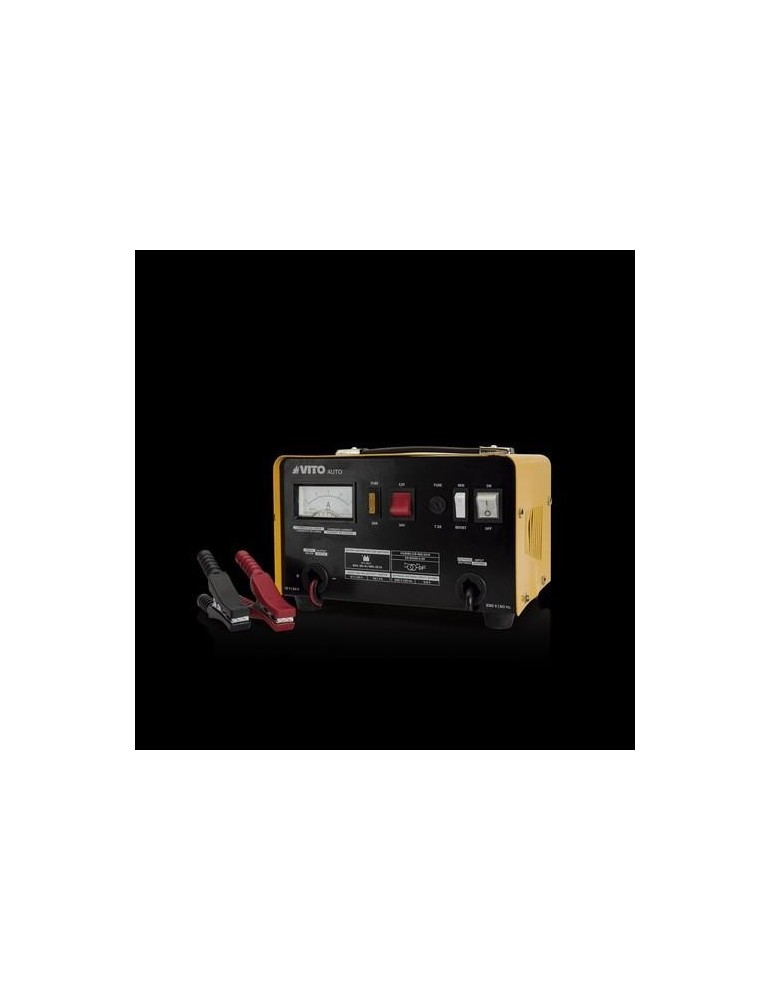 CARGADOR DE BATERIA 12/24 V VICB16S