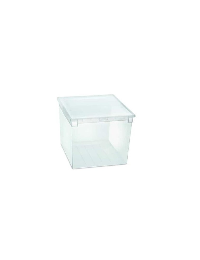 CAJA ORDENACION LIGHT BOX XXL 50 L. TRANSPARENTE