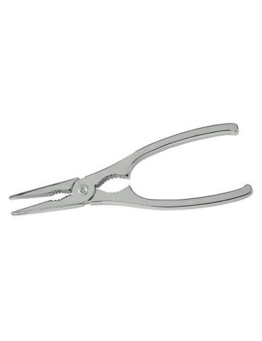 TENACILLA MARISCO INOX 24X12X3CM 43758