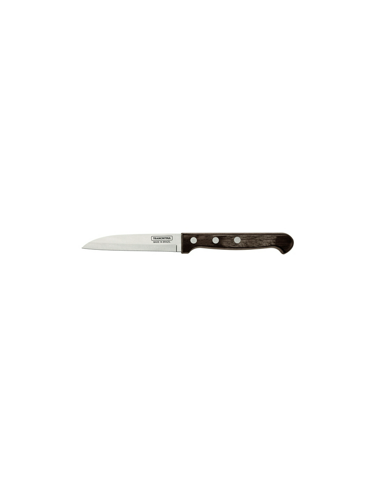 CUCHILLO LEGUMBRES Y FRUTA 9.5CM INOX 21121193