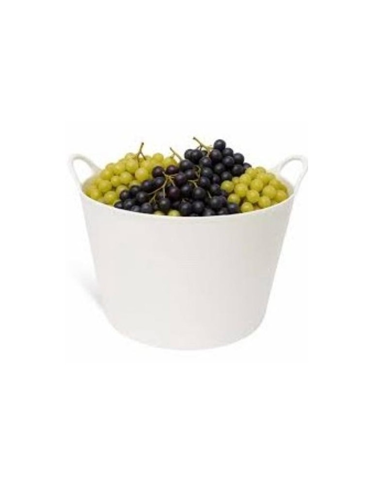 CAPAZO USO ALIMENTARIO BLANCO 42L