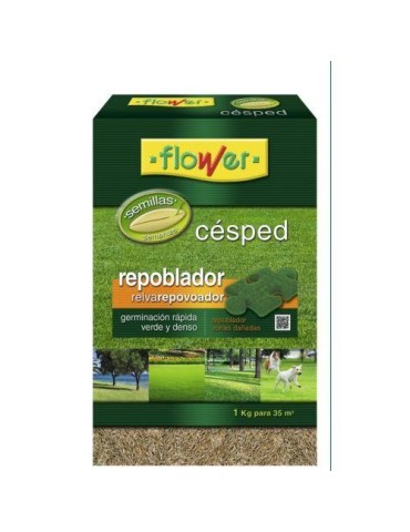 SEMILLAS CESPED REPOBLADOR 1 KG.  1-10871