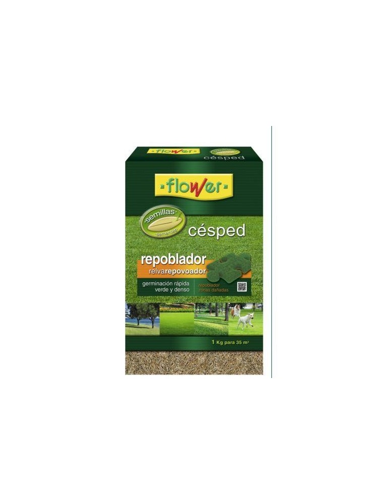 SEMILLAS CESPED REPOBLADOR 1 KG.  1-10871
