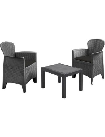 CONJUNTO 2 SILLONES + 1 MESA GRIS 042280180