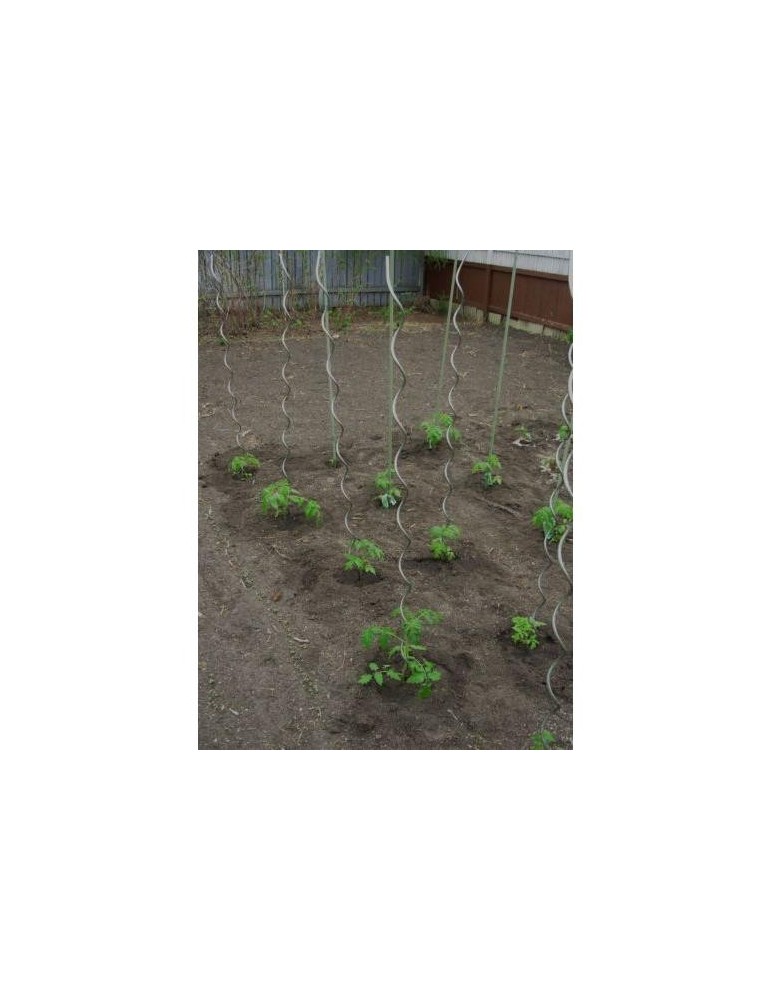 TUTOR ACERO ESPIRAL TOMATERO 7MM X 1,80M