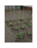 TUTOR ACERO ESPIRAL TOMATERO 7MM X 1,80M