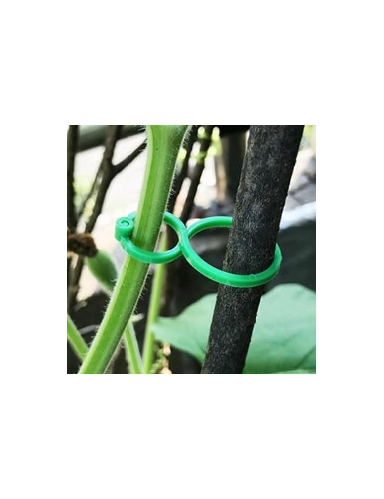 CLIPS PARA TOMATERAS 25 UNIDADES 4,5X6,2 CM 100067