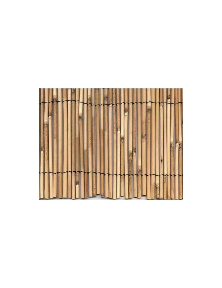 CERRAMIENTO BAMBU PELADO 1,5X5M. 270002
