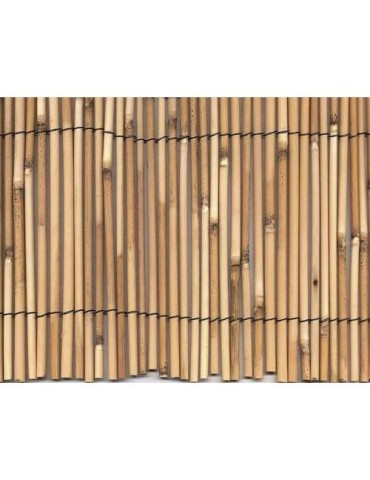 CERRAMIENTO BAMBU PELADO 1X5M. 270001