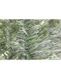SETO ARTIFICIAL PLUS 43 VAR. 2X3M. 240013