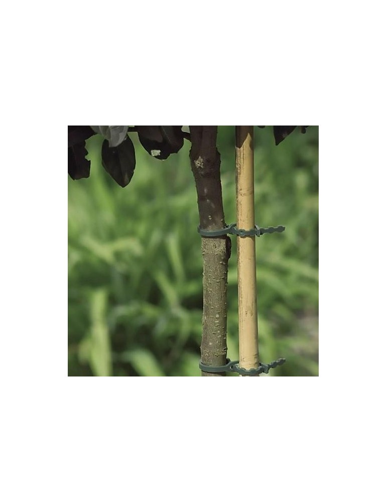 BRIDA DE FIJACION DE PLASTICO (40 UNIDADES) 17 CM.
