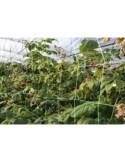 MALLA DE ENTUTORAR 2X10 M 203011
