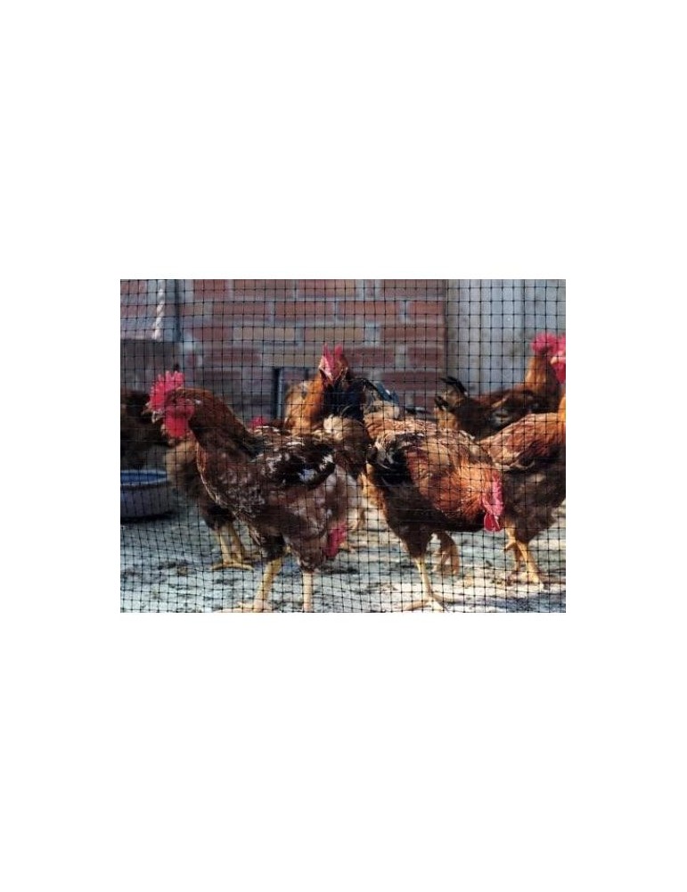 MALLA PROTECCION AVES 16X16 MM 1X10 M NEGRA 203032
