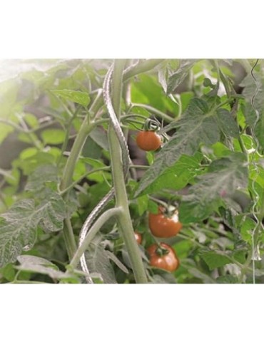 TUTOR ESPIRAL PARA TOMATES DIAM.7 180 CM GALVANIZA