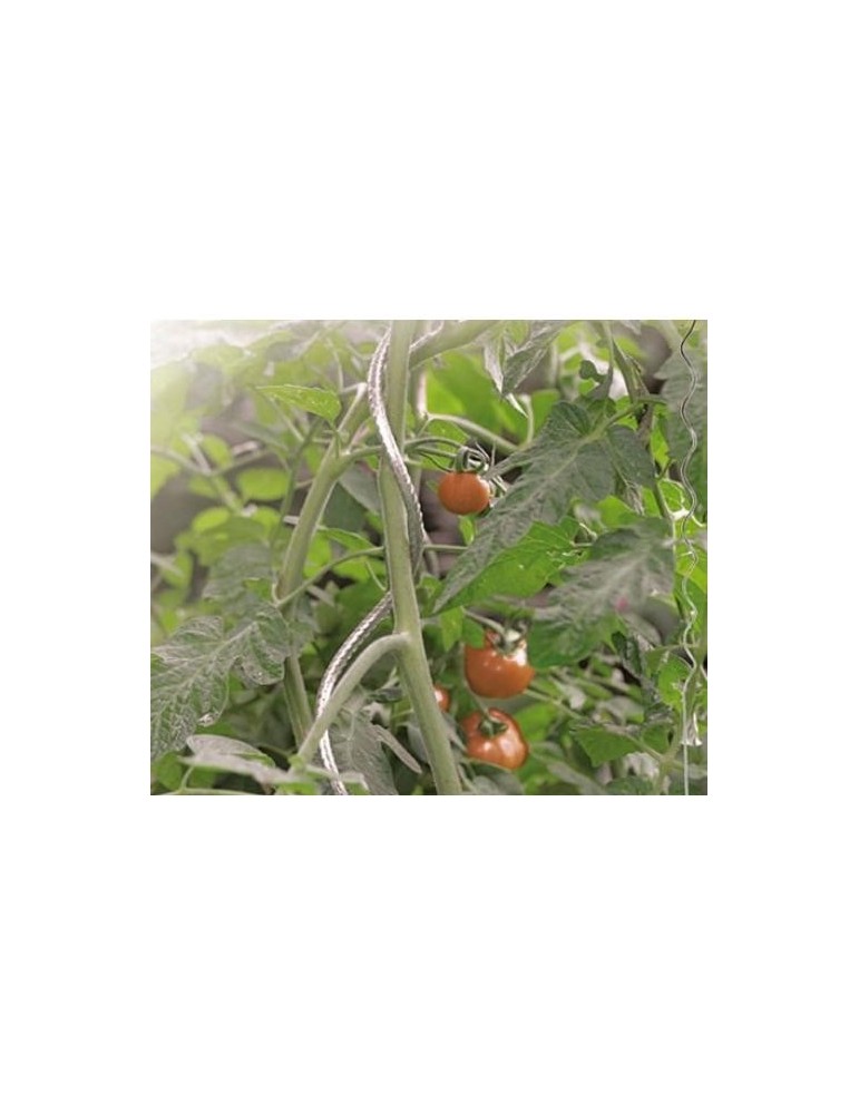 TUTOR ESPIRAL PARA TOMATES DIAM.7 180 CM GALVANIZA