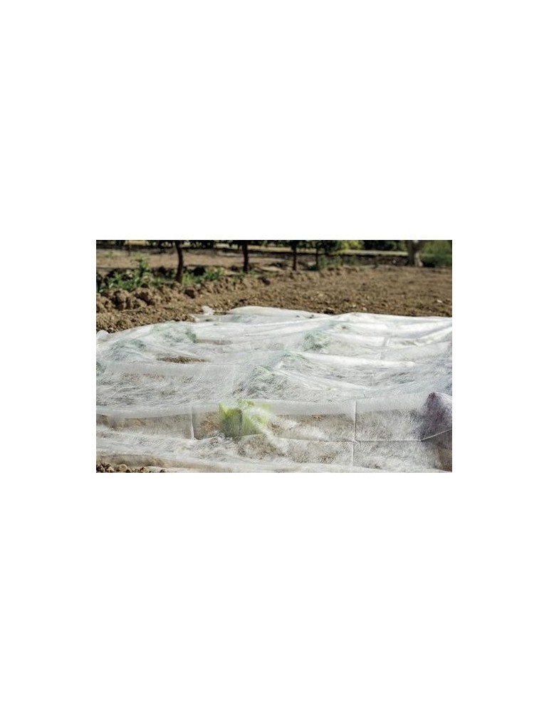VELO DE CRECIMIENTO 2X10 M BLANCO - 17 G/M2 213134
