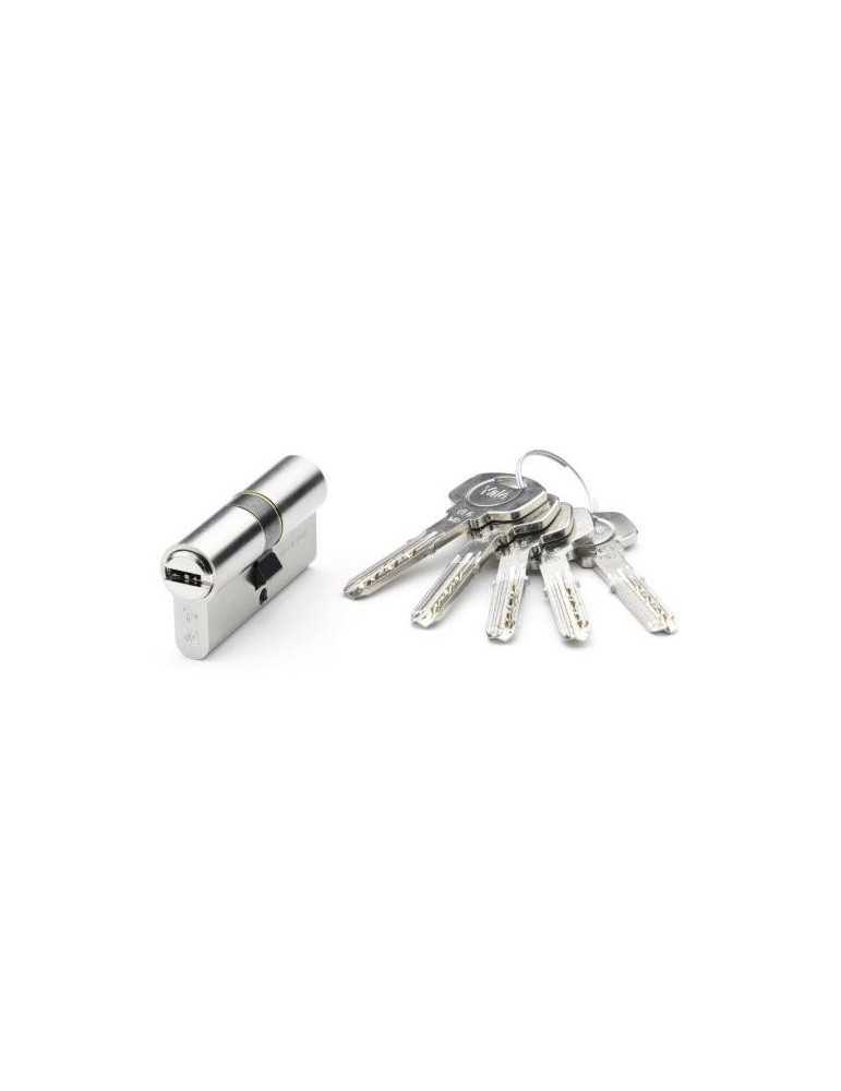 CILINDRO SEGURIDAD 30X30 WG NIQUEL  YL6 60 YL63030