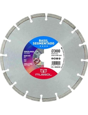 DISCO DIAMANTE BASIL SEGMENTADO 300MM EJE 25,4MM