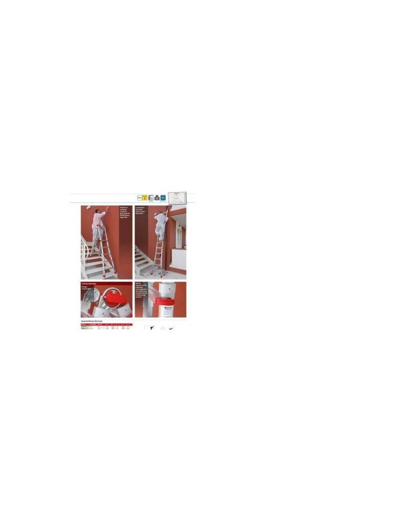 ESCALERA TELESCOPICA 12+12 TELES.T6