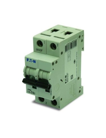 MAGNETOTERMICO 2P 10 AMPERIOS  257000030