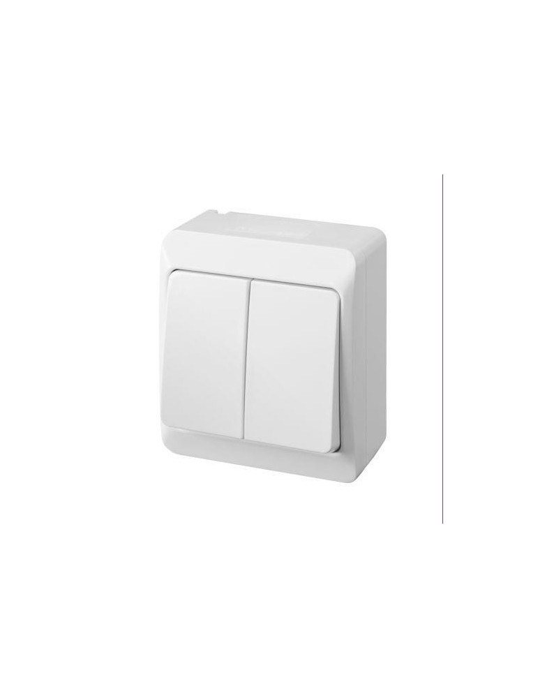 DOBLE INTERRUPTOR ESTANCO 10 AH. 250 V. IP54 5103