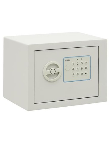 CAJA FUERTE BLUE SOBREPONER POMO 170X230X170MM