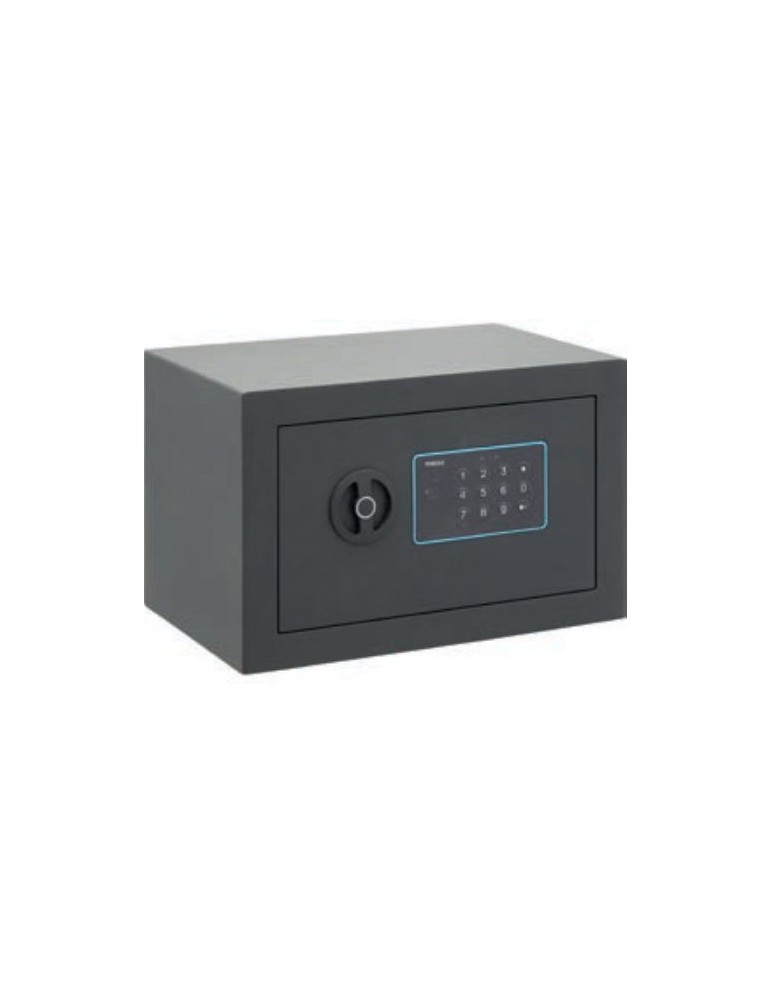 CAJA FUERTE BLUE SOBREPONER POMO 200X310X200MM