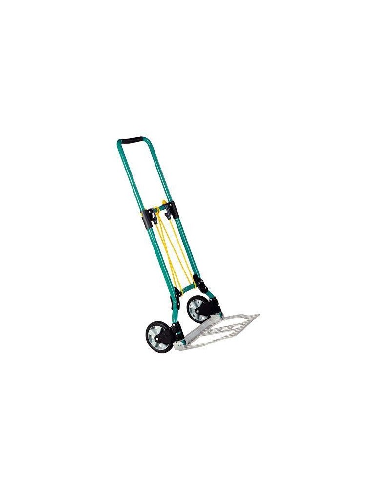 CARRO TRANSPORTE TS-550 70 KG.5505301